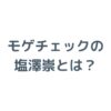 モゲチェックの塩澤崇とは？経歴と運営会社MFSの信頼性を解説